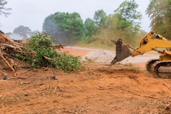 Ground Clearing in Midland
