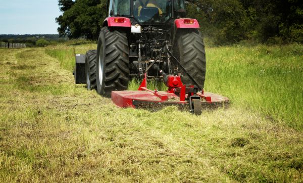 Brush Clearing Service in Midland