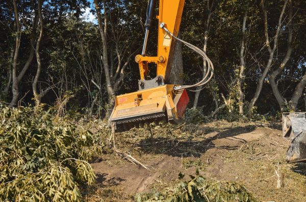 Brush Removal Service in Midland