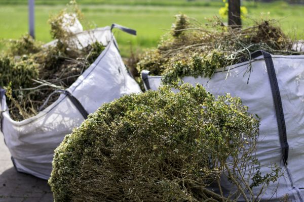Cost of Bushes Clearing in Midland