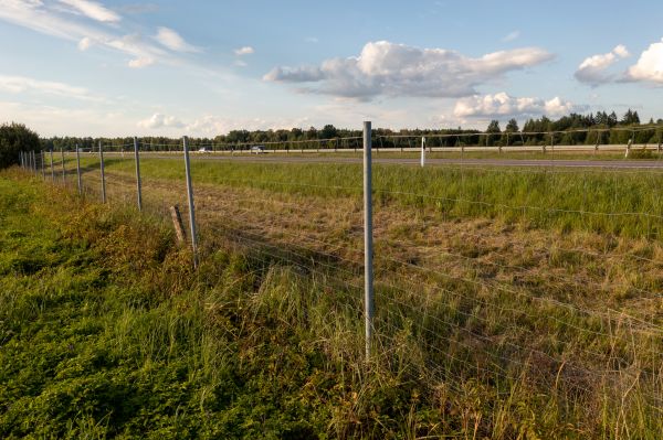 Cost of Property Line Clearing in Midland