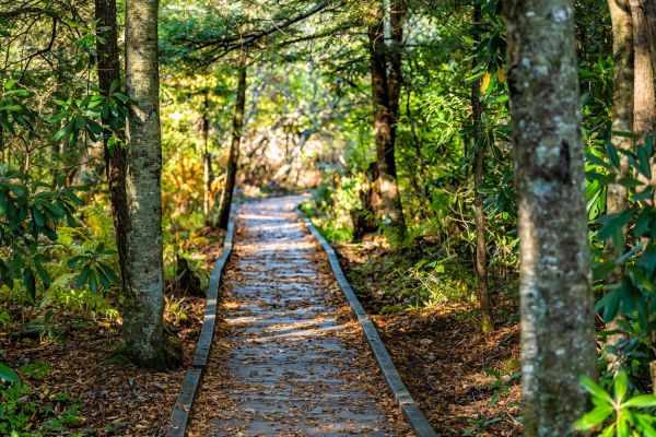 Cost of Trail Clearing in Midland
