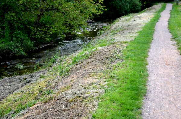 Cost of Trail Cutting in Midland
