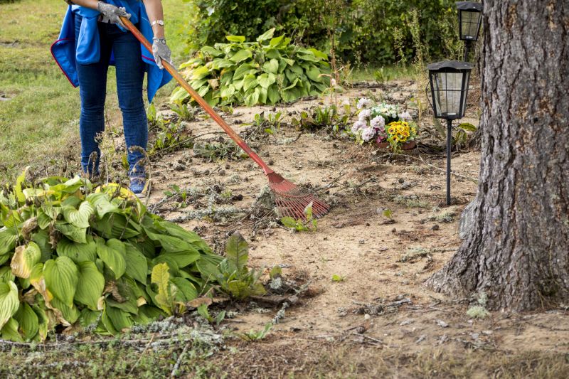 Land Clearing in Winter