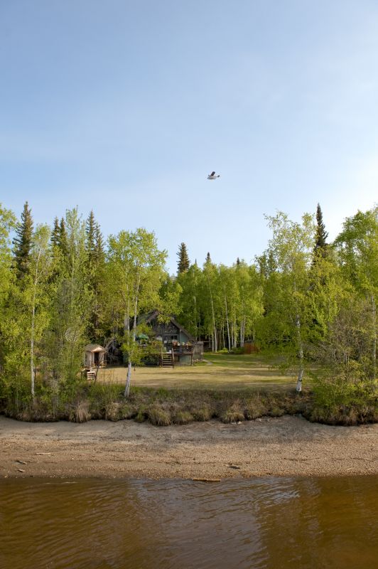 Fall Site Preparation